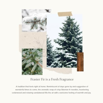 Thymes Frasier Fir Candle - Luxury Pine Scented Decor
