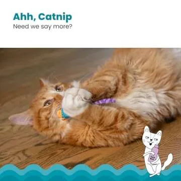 Petstages Catnip Chew Mice - Dental Health Toys for Cats