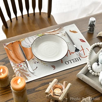 Artoid Mode Fall Placemats Set of 4 for Dining Decoration