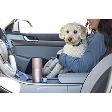 Plant Therapy Rose Gold Portable Diffuser Travel Pack, includes The Travel Essential Oil Blend 10 mL (1/3 oz) 100% Pure, Undiluted, Natural Aromatherapy, Therapeutic Grade