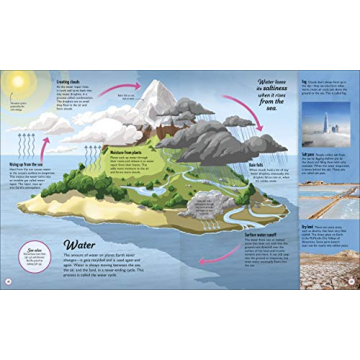 Life Cycles Book for Kids | Fun & Educational