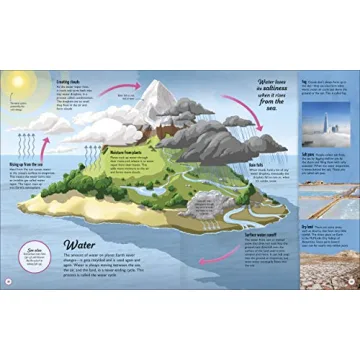 Life Cycles Book for Kids | Fun & Educational