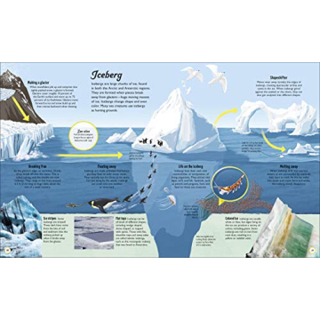 Life Cycles Book for Kids | Fun & Educational