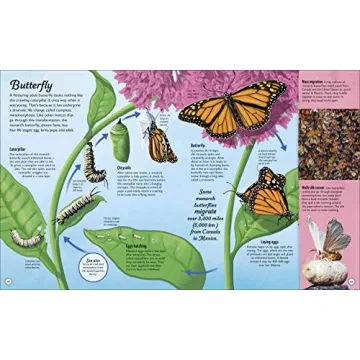 Life Cycles Book for Kids | Fun & Educational