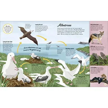 Life Cycles Book for Kids | Fun & Educational