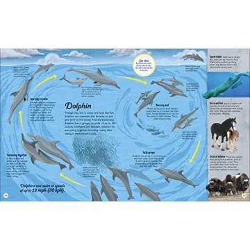 Life Cycles Book for Kids | Fun & Educational