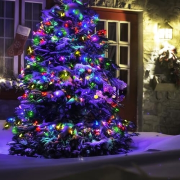 WBao C6 20ft Battery Operated Christmas Lights