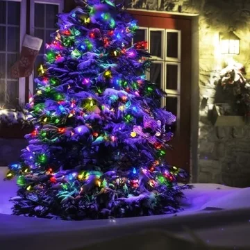 WBao C6 20ft Battery Operated Christmas Lights