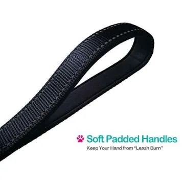 Short Dog Leash for Easy Urban Walks and Training Control