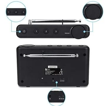 Ocean Digital WR-23D Portable FM Internet Radio with Bluetooth