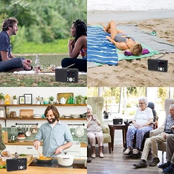 Ocean Digital WR-23D Portable FM Internet Radio with Bluetooth