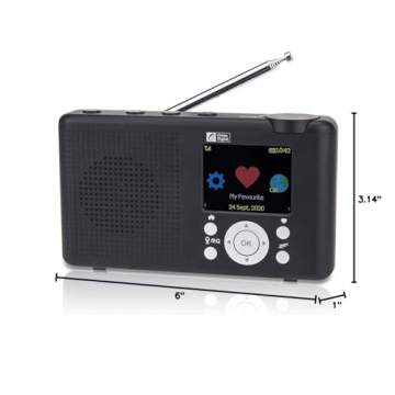 Ocean Digital WR-23D Portable FM Internet Radio with Bluetooth