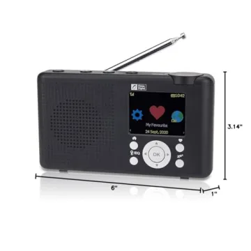 Ocean Digital WR-23D Portable FM Internet Radio with Bluetooth