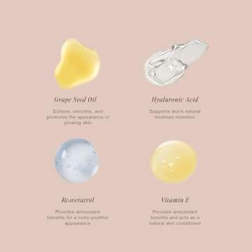 Jouer Essential High Coverage Liquid Concealer - Brightening Concealer - Color Corrector for Under Eye Dark Circles, Spot Coverage, and Eye Primer - Soft Matte Finish, Wheat