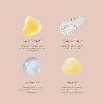 Jouer Essential High Coverage Liquid Concealer - Brightening Concealer - Color Corrector for Under Eye Dark Circles, Spot Coverage, and Eye Primer - Soft Matte Finish, Wheat