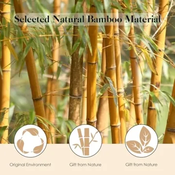 GAINWELL Bamboo Hair Brush for Hair Growth and Care