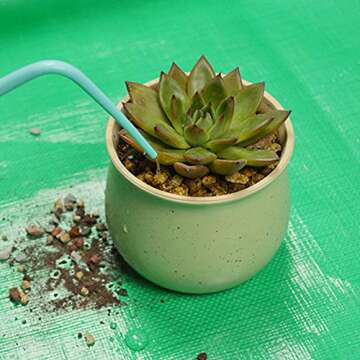 VIMOA Repotting Mat Waterproof Indoor Potting Tarp Planting Mat Apartment Gardening Mat for Succulent Flowers Plants Indoor Transplantation 3.3 ft. x 3.3 ft. (Green)