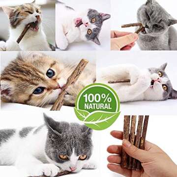 WoLover 10 PCS Cat Catnip Sticks, Natural Matatabi Silvervine Sticks - Cleaning Teeth Molar Tools Kitten Chew Toy Natural Catnip Cats Toy
