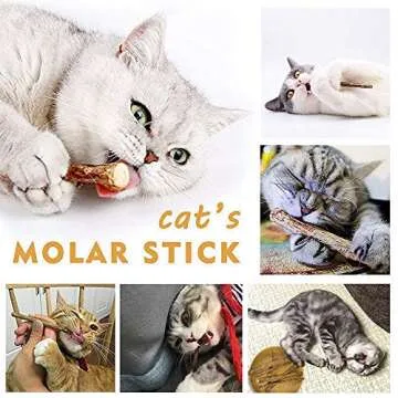 WoLover 10 PCS Cat Catnip Sticks, Natural Matatabi Silvervine Sticks - Cleaning Teeth Molar Tools Kitten Chew Toy Natural Catnip Cats Toy