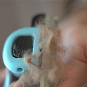 Petgle Cat Brush for Deshedding, Eco-Friendly Pet Grooming Tool