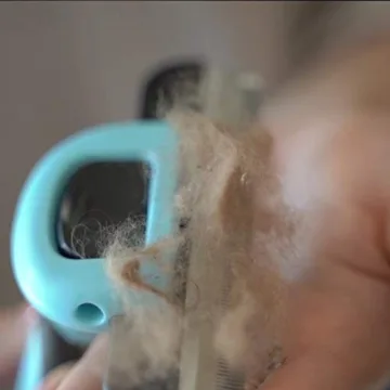 Petgle Cat Brush for Deshedding, Eco-Friendly Pet Grooming Tool