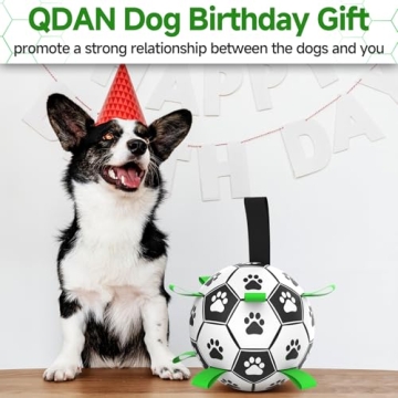 QDAN Interactive Soccer Ball for Dogs - Durable & Fun