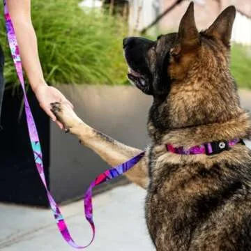 Wolfgang Adjustable Dog Collar - Heavy Duty & Stylish