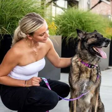 Wolfgang Adjustable Dog Collar - Heavy Duty & Stylish