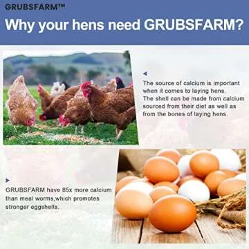 GRUBSFARM Premium Chicken Treats 10LB - Superior to Dried Mealworms - Non-GMO & 85X More Calcium Than Meal Worms - Molting & Laying Supplement - BSF Larvae Treats for Layer Hens, Ducks Wild Birds