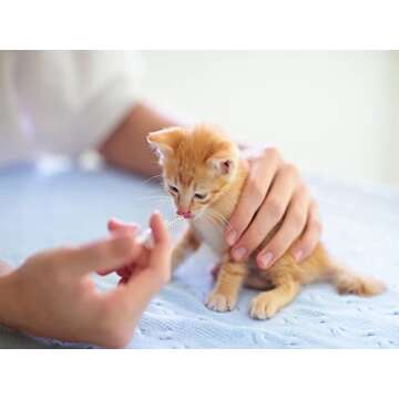 Blue 100 Pcs 1ml 1cc Plastic Syringe No Needle Syringe for Pets Oral, Refilling, Oil or Glue Applicator, Measuring or Transfering Tiny Amount of Liquids, Without Cap