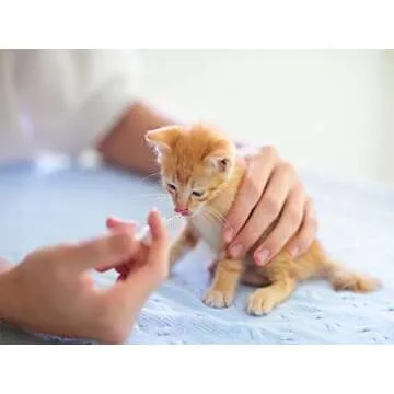 Blue 100 Pcs 1ml 1cc Plastic Syringe No Needle Syringe for Pets Oral, Refilling, Oil or Glue Applicator, Measuring or Transfering Tiny Amount of Liquids, Without Cap