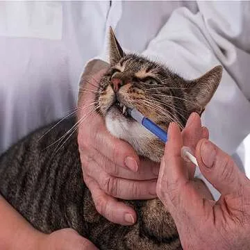 Blue 100 Pcs 1ml 1cc Plastic Syringe No Needle Syringe for Pets Oral, Refilling, Oil or Glue Applicator, Measuring or Transfering Tiny Amount of Liquids, Without Cap