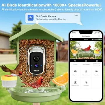 Smart Bird Feeder with Camera Solar Powered for Bird Lovers