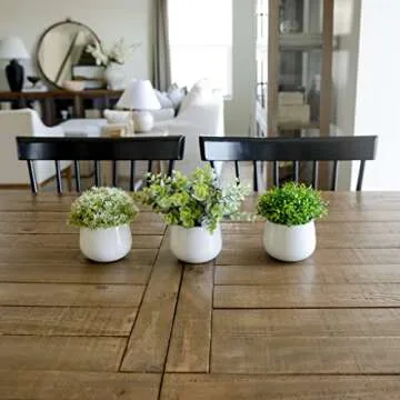 GreenCallow Artificial Plants for Home Decor Indoor. 4 Mini Plants, Rosemary Faux Plant Decor, Eucalyptus Plant, Grass Plants. Small Fake Shelf or Desk Greenery Décor (Ceramic-3)