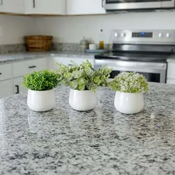 GreenCallow Artificial Plants for Home Decor Indoor. 4 Mini Plants, Rosemary Faux Plant Decor, Eucalyptus Plant, Grass Plants. Small Fake Shelf or Desk Greenery Décor (Ceramic-3)