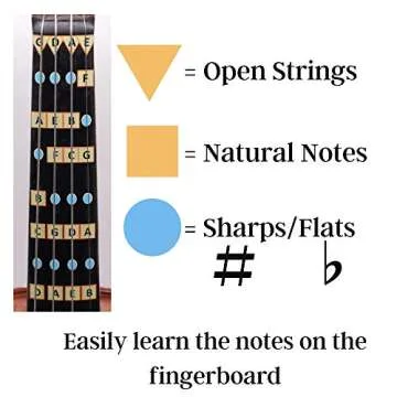 Fantastic Finger Guide for Beginners | Learn Violin Easily | 4/4-Size