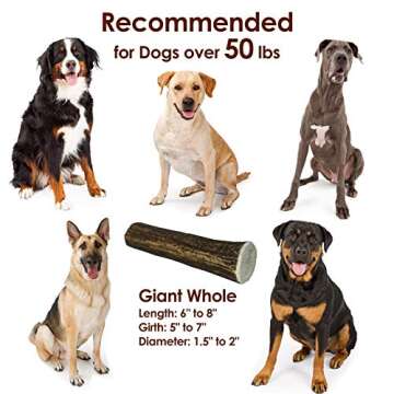 Deluxe Naturals Elk Antler Chews for Dogs | Naturally Shed USA Collected Elk Antlers | All Natural A...