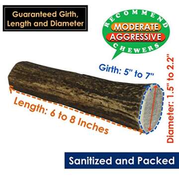 Deluxe Naturals Elk Antler Chews for Dogs | Naturally Shed USA Collected Elk Antlers | All Natural A-Grade Premium Elk Antler Dog Chews | Product of USA, Single Pack Giant Whole