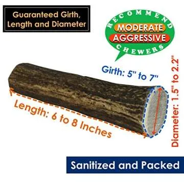 Deluxe Naturals Elk Antler Chews for Dogs | Naturally Shed USA Collected Elk Antlers | All Natural A-Grade Premium Elk Antler Dog Chews | Product of USA, Single Pack Giant Whole
