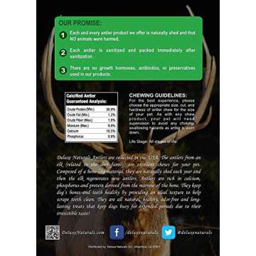 Deluxe Naturals Elk Antler Chews for Dogs | Naturally Shed USA Collected Elk Antlers | All Natural A-Grade Premium Elk Antler Dog Chews | Product of USA, Single Pack Giant Whole