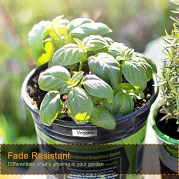 TZe-S241 Oozmas Extra Strength Label Tape for P-Touch