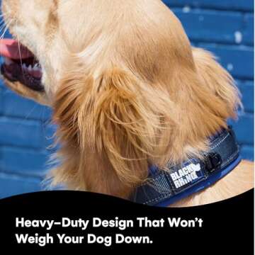 Black Rhino Reflective Dog Collar - Heavy Duty Adjustable Comfort Collar with Ultra Soft Neoprene Padding for All Breeds - Weatherproof, Lightweight Dog Collars for Large Dogs (Large, Blue/Grey)