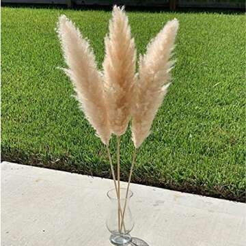 Large Pampas Grass Decor Tall, 3 Pc Set, 43in/110cm, Beige Natural Dried Plants; Fluffy Pampas Grass for Home Decor, Pampas, Pompous Grass, Pompass Grass, Pampass Grass, Pampa Grass