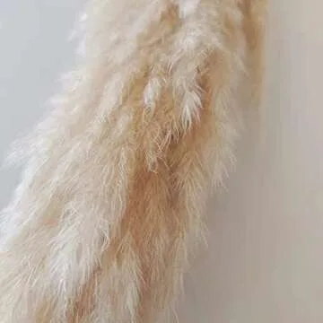 Large Pampas Grass Decor Tall, 3 Pc Set, 43in/110cm, Beige Natural Dried Plants; Fluffy Pampas Grass for Home Decor, Pampas, Pompous Grass, Pompass Grass, Pampass Grass, Pampa Grass