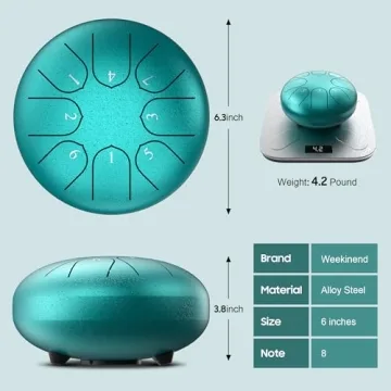 8 Note Steel Tongue Rain Drum with Travel Bag