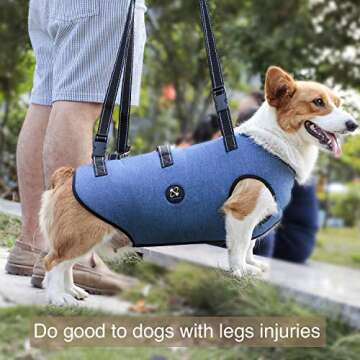Coodeo Dog Lift Harness, Pet Support & Rehabilitation Sling Lift Adjustable Padded Breathable Straps for Old, Disabled, Joint Injuries, Arthritis, Loss of Stability Dogs Walk (Blue, M)