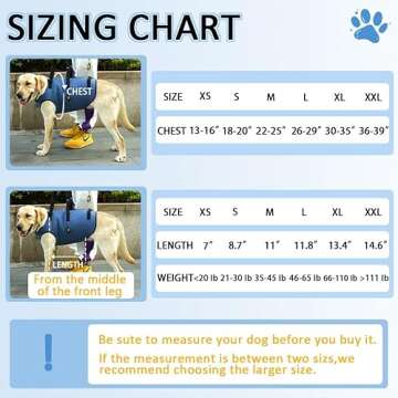 Coodeo Dog Lift Harness, Pet Support & Rehabilitation Sling Lift Adjustable Padded Breathable Straps for Old, Disabled, Joint Injuries, Arthritis, Loss of Stability Dogs Walk (Blue, M)