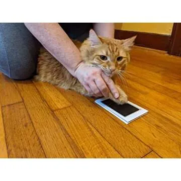 Green Pollywog Paw Print Kit | Pet Memorial Frame