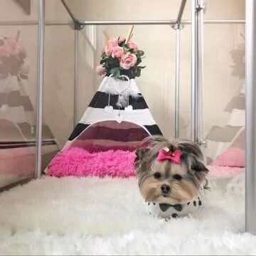 Stylish Clearly Loved Pets Lucidium Pet Pen for Small Pets