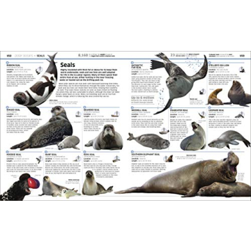 Knowledge Encyclopedia Ocean! Perfect Early Learning Resource